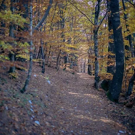 Snjezna Kuca - Nature Park Of Bosnia Herzegovina